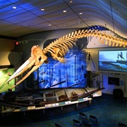 Nantucket Whaling Museum
