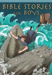Bible Stories for Boys (Peter Martin)