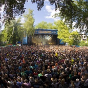 Cactusfestival (West-Vlaanderen)