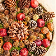 Natural Christmas Decorations
