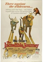 The Incredible Journey (1963)