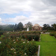Exposition Park Rose Garden