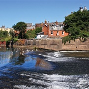 River Exe, Devon, England
