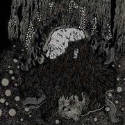 Botanist / Palace of Worms - Split
