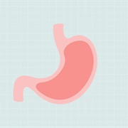 If We Get Full We Can't Eat Any More or We'll Burst