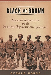Black and Brown: African Americans and the Mexican Revolution 1910-1920 (Gerald Horne)