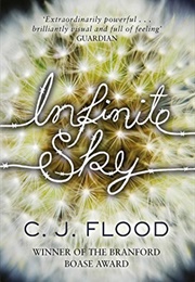 Infinite Sky (C. J. Flood)