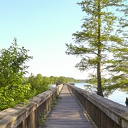 Lake D'Arbonne State Park