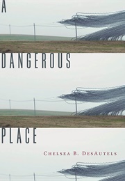 A Dangerous Place (Chelsea B. Desautels)