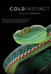 Cold Instinct (Matthijs Kuijpers)