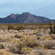 Avi Kwa Ame, NV (BLM & NPS)