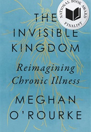 The Invisible Kingdom: Reimagining Chronic Illness (Meghan O'Rourke)