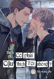 Có Phải Cậu Thích Tôi Không? (Lữ Thiên Dật)