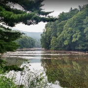 Sang Run State Park, Maryland