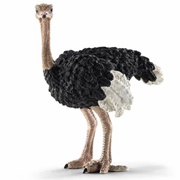 Toy Ostrich