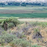 Yucca House National Monument