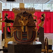 Museum of Ancient Wonders