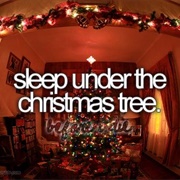Sleep Under the Christmas Tree