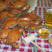Maryland Blue Crab in Maryland, USA
