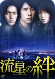 Ryusei No Kizuna (2008)