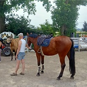 Jumping June Competition