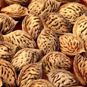 Peach Seed