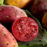 Ficodindia Dell'etna