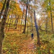 Woodman Fen Conservation Area