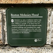 Great Boston Molasses Flood Plaque