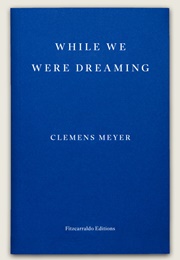 While We Were Dreaming (Clemens Meyer)