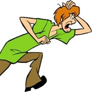 Scooby-Doo and Shaggy Rogers