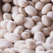 Fassobeddu Corantinu