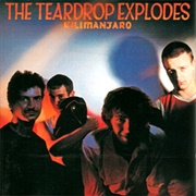 The Teardrop Explodes - Kilimanjaro (1980)