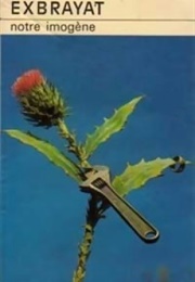 Notre Imogène (Charles Exbrayat)