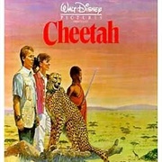 Cheetah