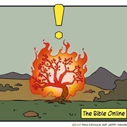The Bible Online