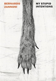 My Stupid Intentions (Bernardo Zannoni)