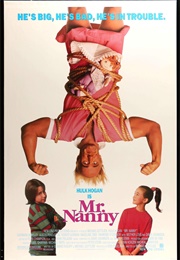 Mr. Nanny (1993)