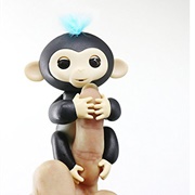 Toy Monkey