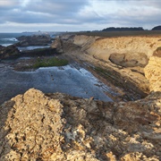 California Coastal, CA (BLM)