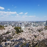 Mount Masugata, Kawasaki, Japan