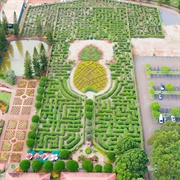World's Largest Plant Maze