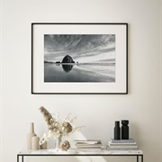 Black and White Photo