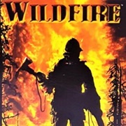 Wildfire