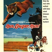 Run, Cougar, Run