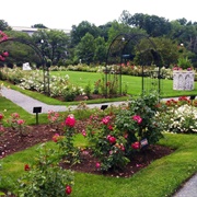 Kelleher Rose Garden