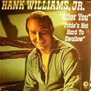 Pride's Not Hard to Swallow - Hank Williams Jr.