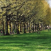 Green Park
