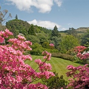 Arduaine Garden