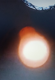 Trace, Günther Ruch (Armleder) (1977)